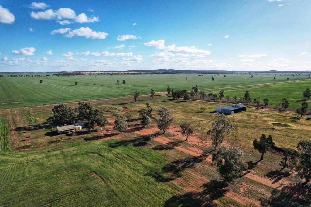 'Laurel Hills' 81 Salters Rd, Condobolin, NSW 2877