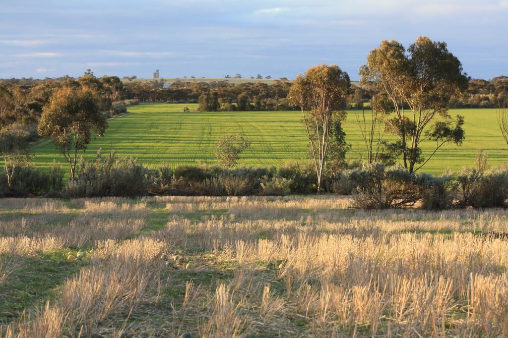 Lot 1, 905 Ngallo Rd, Carina, VIC 3512