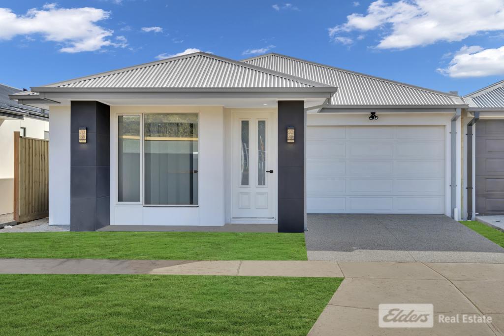 41 Gambusia Rd, Werribee, VIC 3030