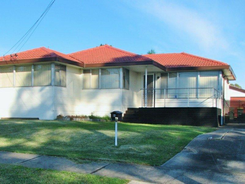 41 Canal Rd, Greystanes, NSW 2145