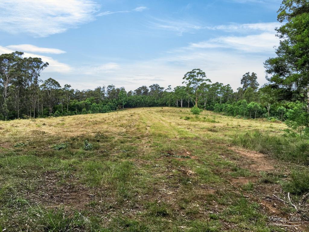 Lot 62 Baxters Ridge Rd, Baxters Ridge, NSW 2422