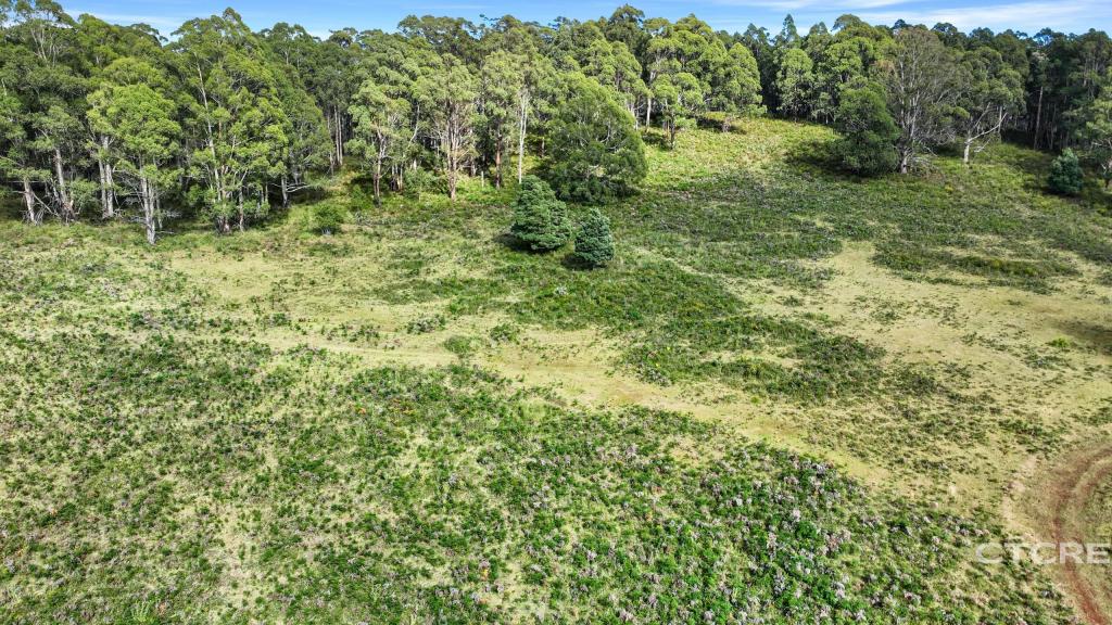 12f & 12g Minchins Trk, Bonang, VIC 3888