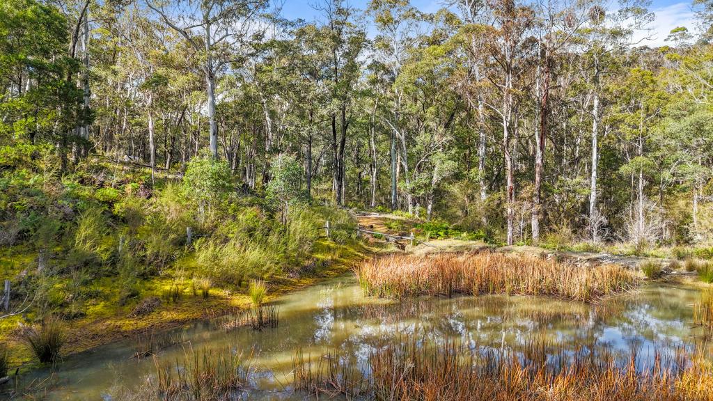 Lot 115 Big Jack Mountain Rd, Cathcart, NSW 2632