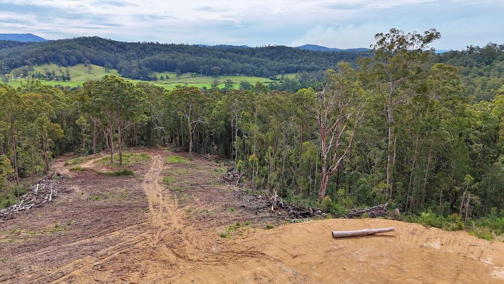 Lot/55 Somervilles Rd, Lorne, NSW 2439