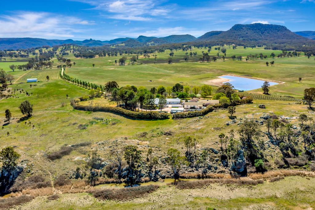 1011 Pyangle Rd, Lue, NSW 2850