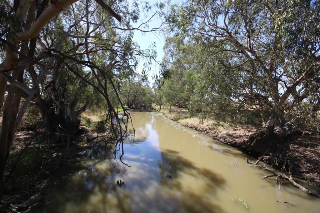 221 Frosts Rd, Canary Island, VIC 3537