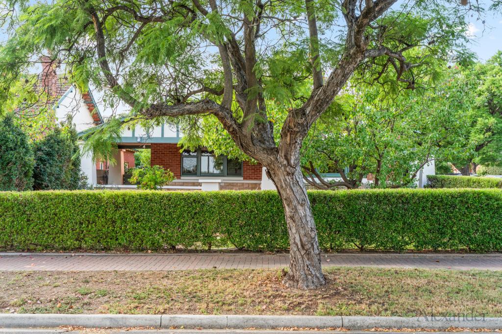 16 Burke St, Tusmore, SA 5065