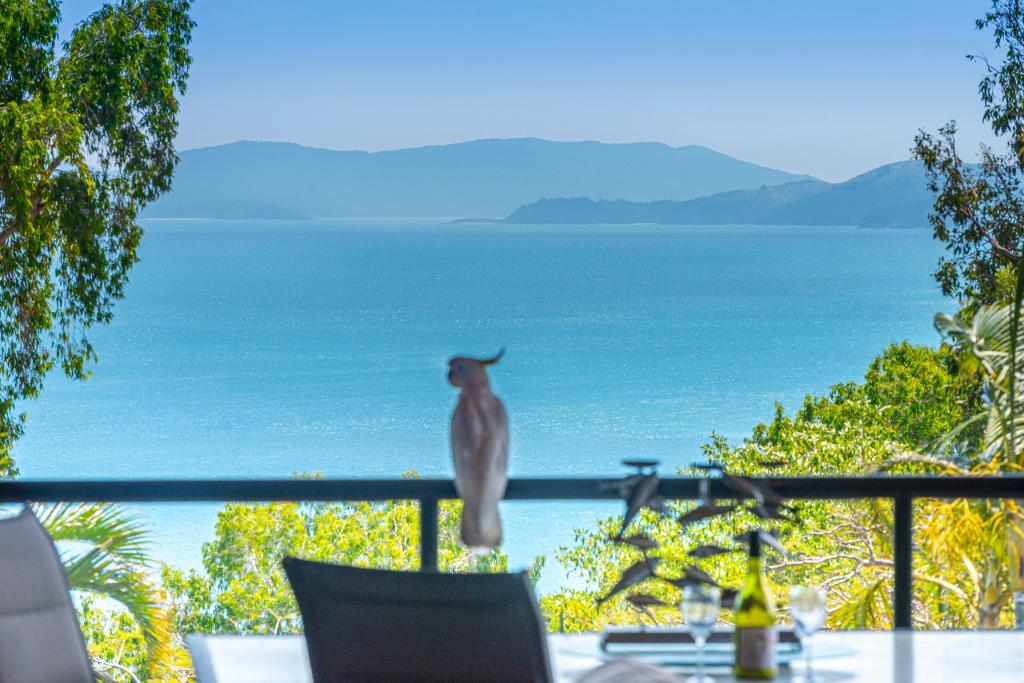 Anchorage 20/6 Banksia Ct, Hamilton Island, QLD 4803