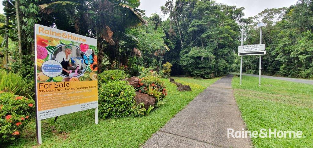 1498 Cape Tribulation Road, Cow Bay (Floravilla), Daintree, QLD 4873