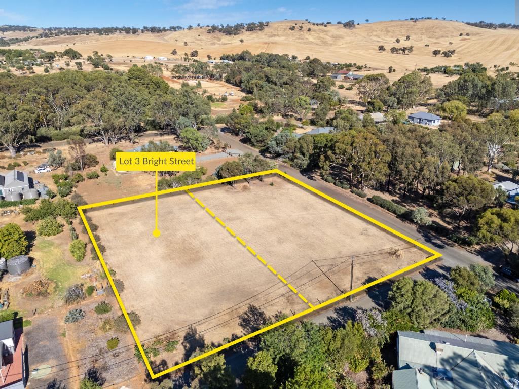 Proposed Allotment 3 Bright St, Mintaro, SA 5415