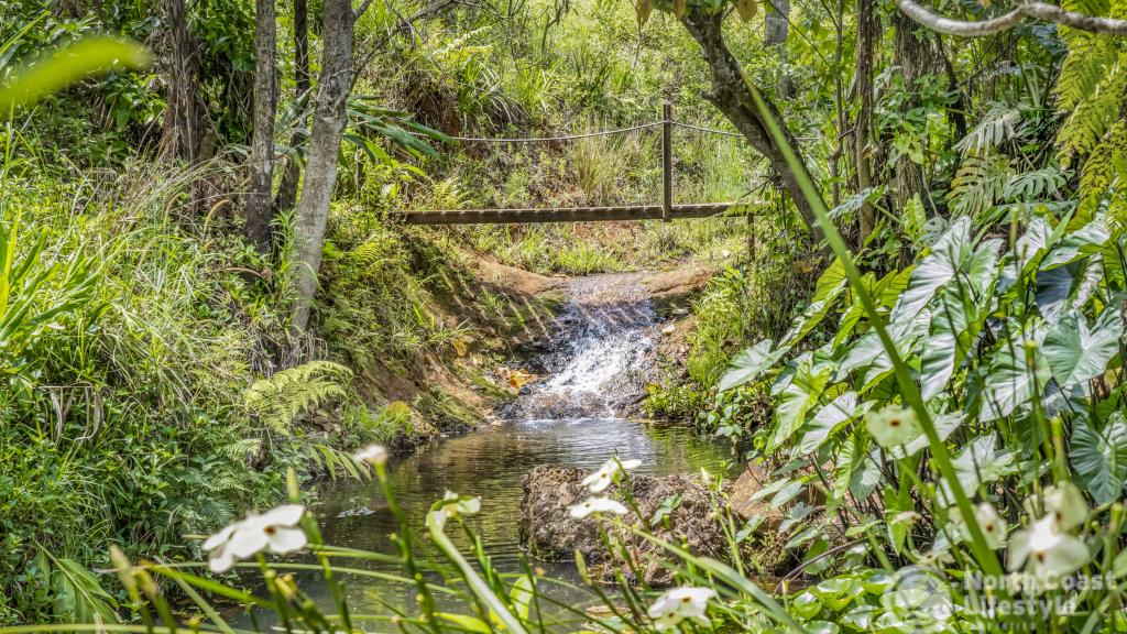 45 Geles Rd, Upper Burringbar, NSW 2483