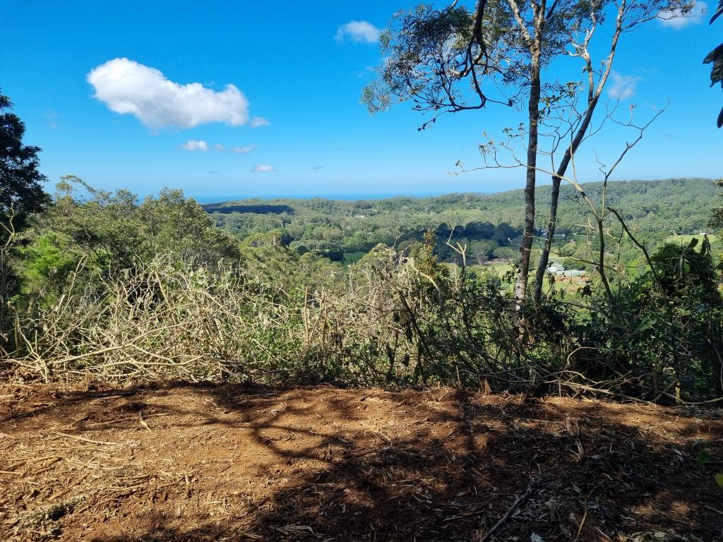 107 Lyrebird Ridge Rd, Springbrook, QLD 4213