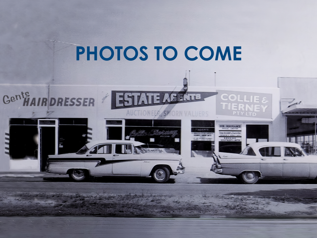 67 Betty Krake Dr, Red Cliffs, VIC 3496