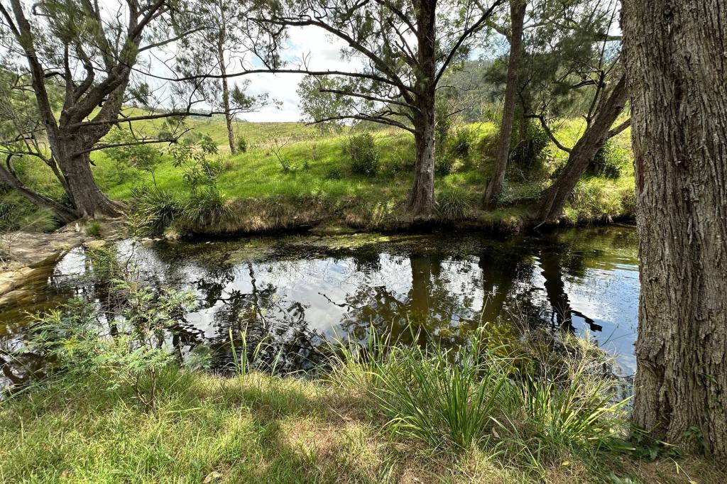 5555 Parks Creek Rd, Bingleburra, NSW 2311