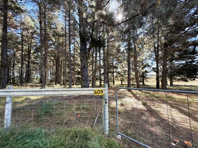 609 Jacqua Rd, Windellama, NSW 2580