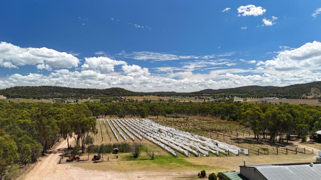 157 Sundown Rd, Ballandean, QLD 4382