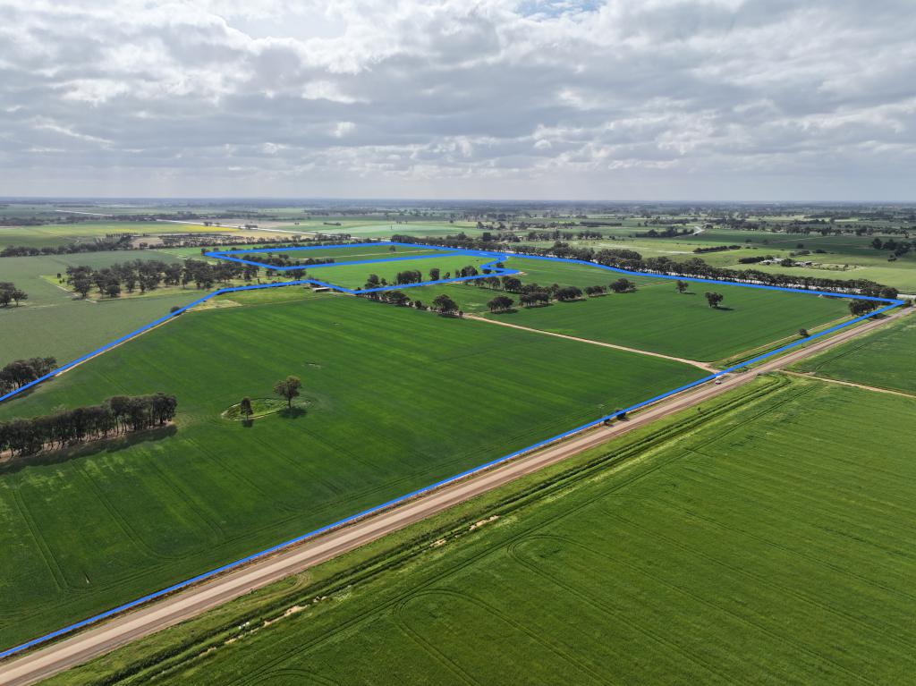 556 Lowe Rd, Rochester, VIC 3561