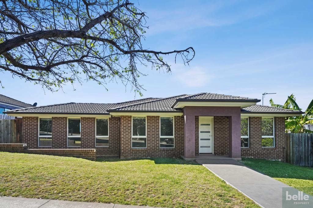 29 ANCONA AVE, SPRING FARM, NSW 2570