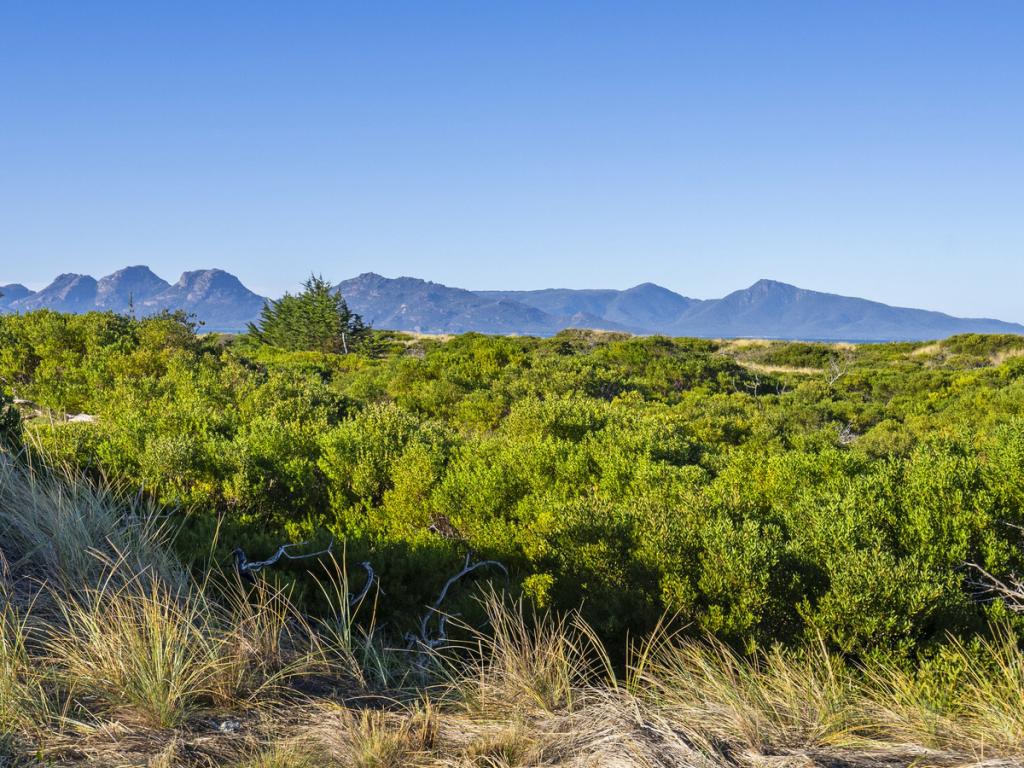 830 Dolphin Sands Rd, Dolphin Sands, TAS 7190