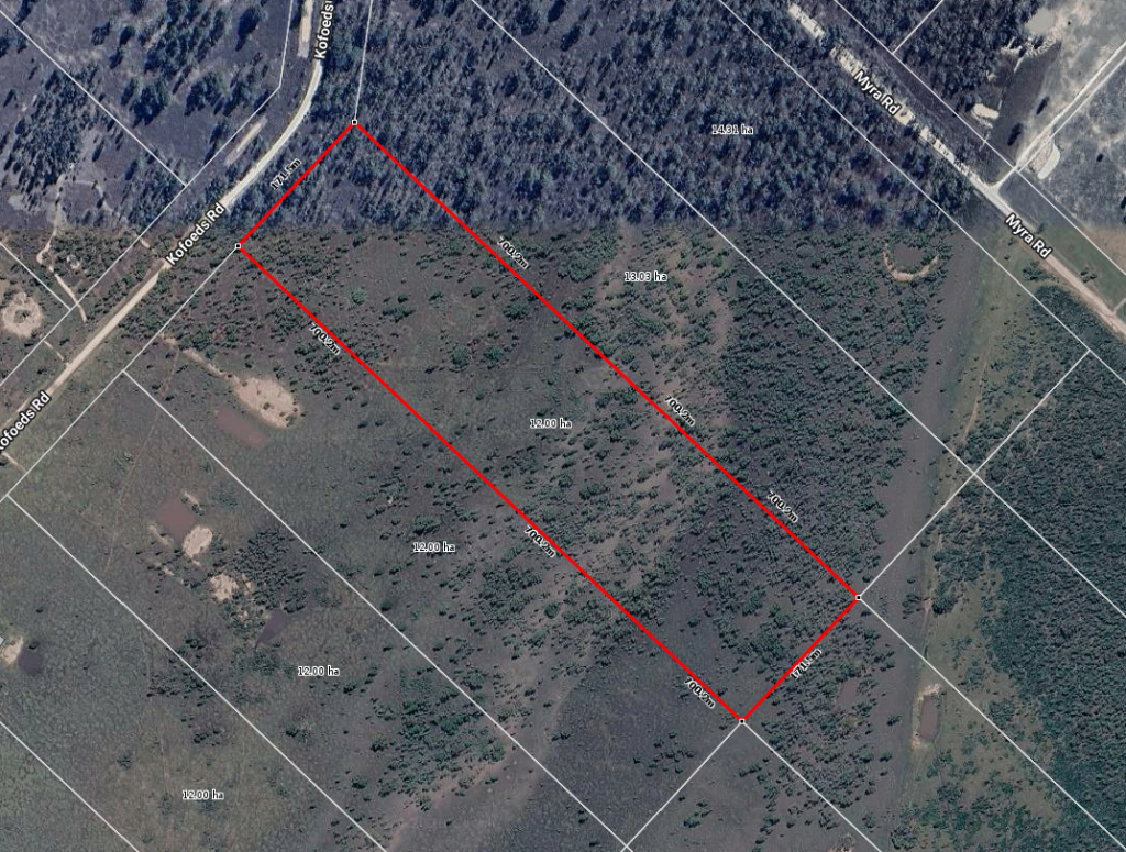 370 Kofoeds Rd, Tara, QLD 4421