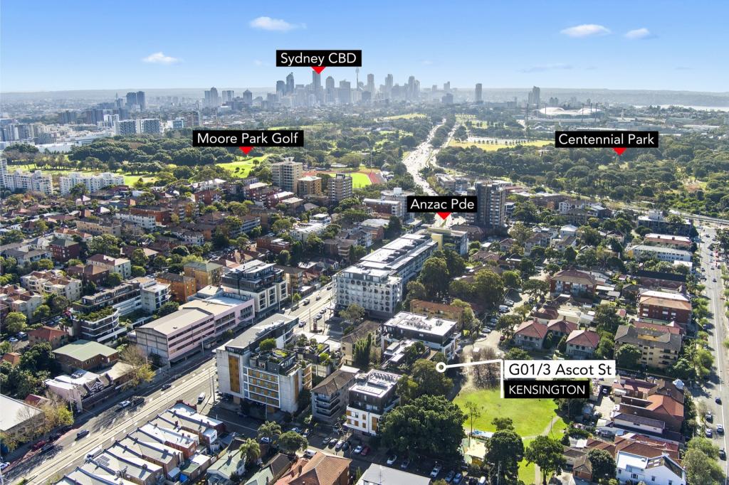 1/3 Ascot St, Kensington, NSW 2033