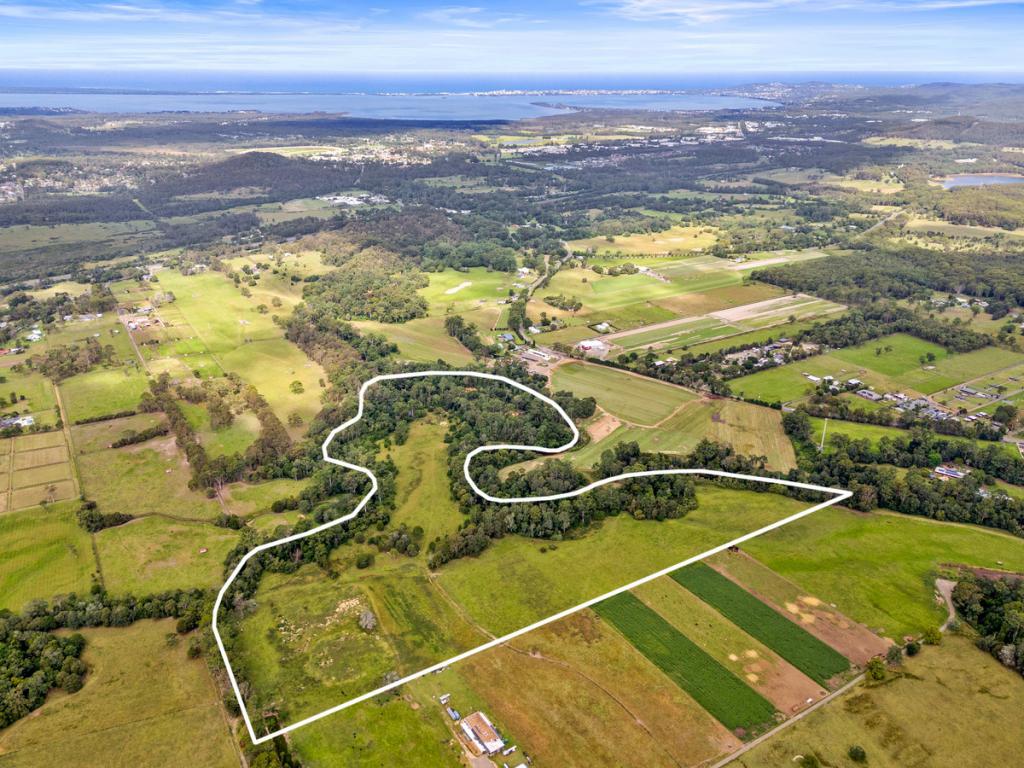 55 DAVENPORT LANE, JILLIBY, NSW 2259