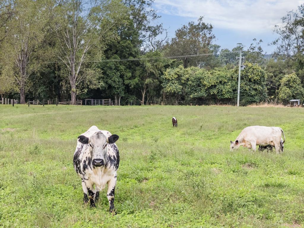 1301 Chichester Dam Road, Bandon Grove, Via, Dungog, NSW 2420