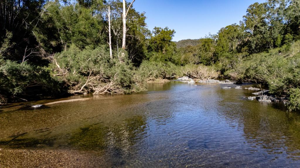 'Ted'S Estate' Lots 17,18,125, 126 Cells Rd, Cells River, NSW 2424