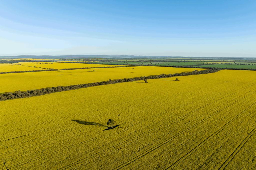 1133 KOORNONG RD, WEST RIVER, WA 6346