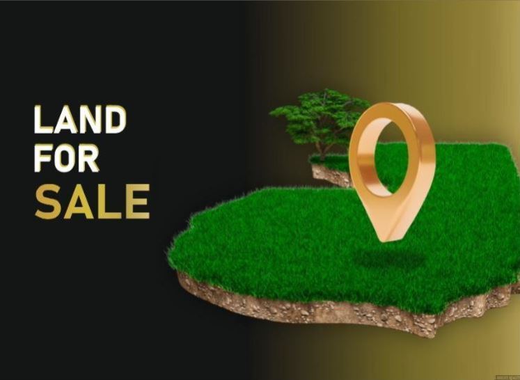 Contact Agent For Address, Spring Farm, NSW 2570