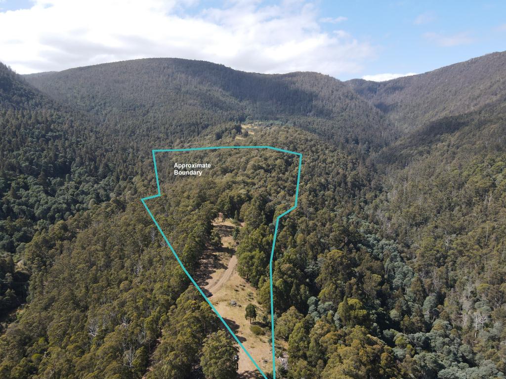 Lot 5 Liddells Rd, Crabtree, TAS 7109