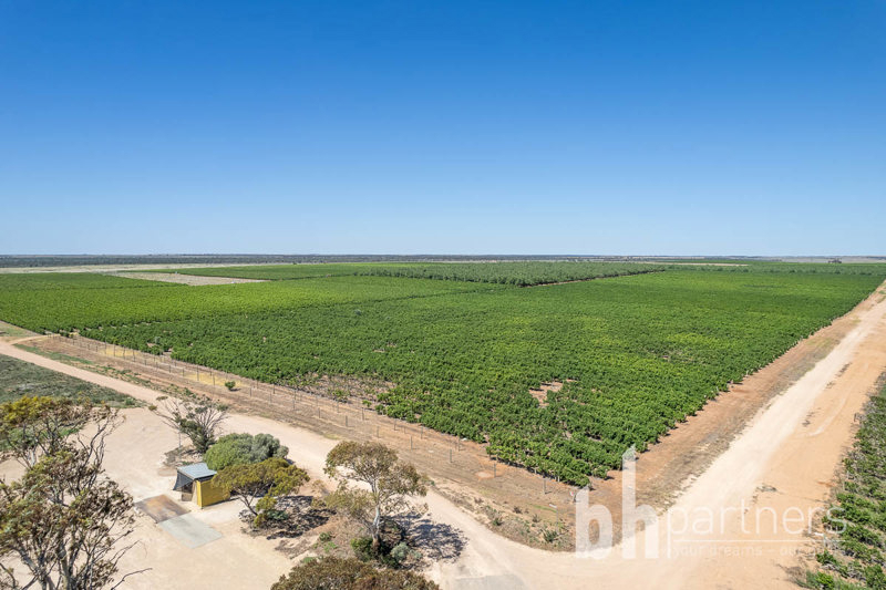  Greenways Road & Heywood Drive, Nildottie, SA 5238