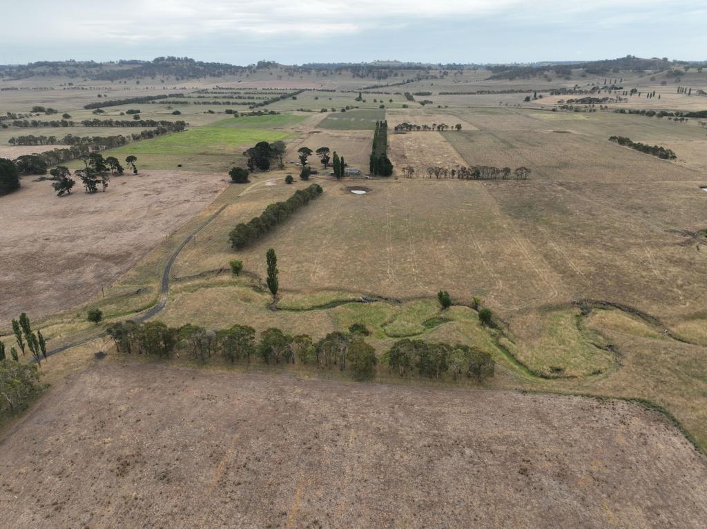 638 Furracabad Rd, Glen Innes, NSW 2370