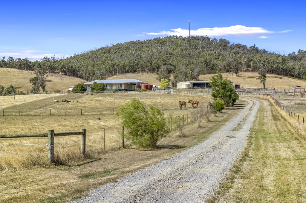 3684 Melba Hwy, Glenburn, VIC 3717