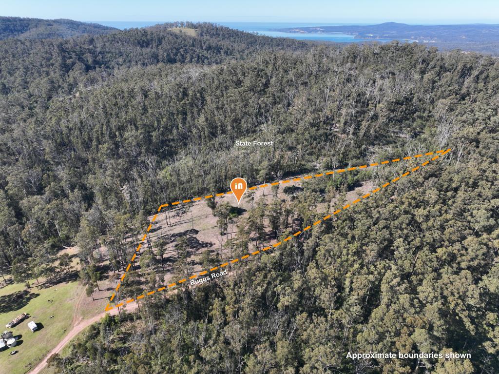 371 Ruggs Rd, Nethercote, NSW 2549