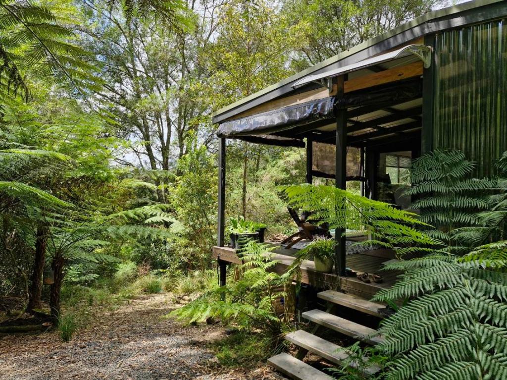 776 Lower Bielsdown Rd, Tallowwood Ridge, NSW 2453