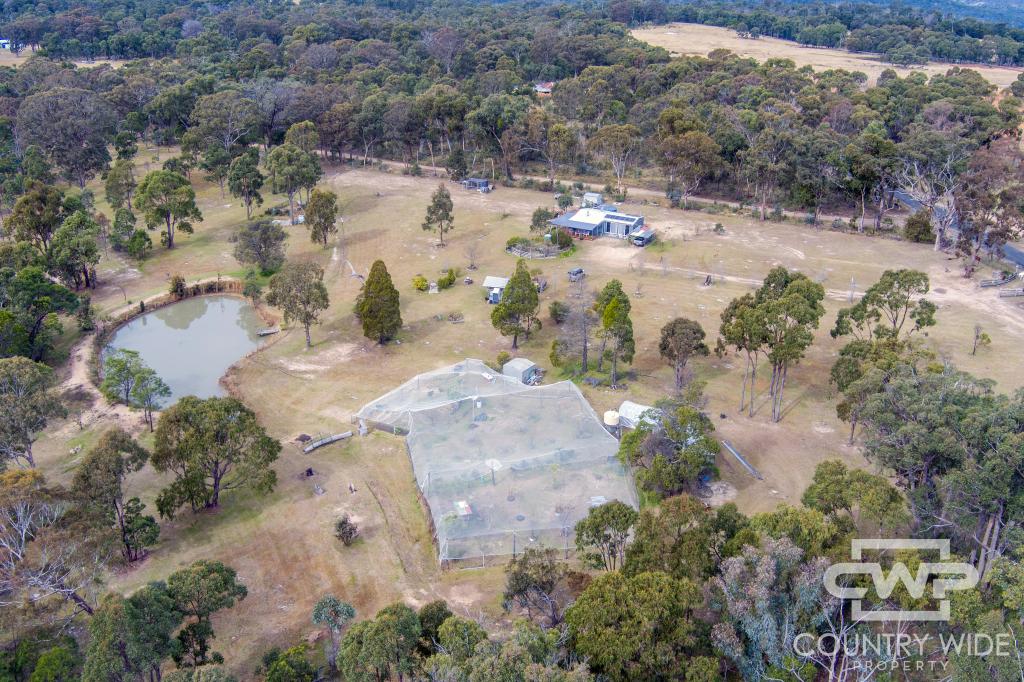 2554 Torrington Rd, Torrington, NSW 2371