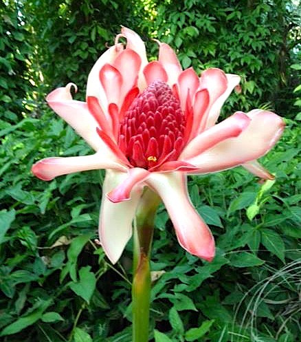 Contact agent for address, LAMBELLS LAGOON, NT 0822