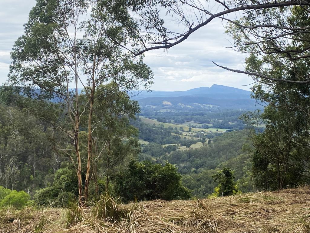 Lot 220 Comboyne Rd, Byabarra, NSW 2446