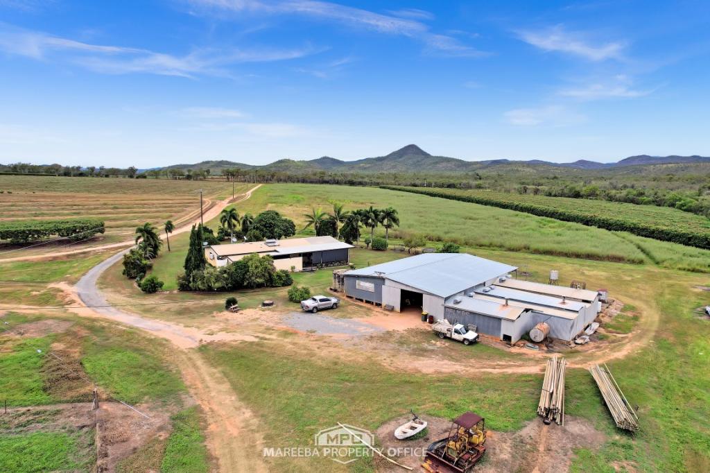 994 Leafgold Weir Rd, Dimbulah, QLD 4872