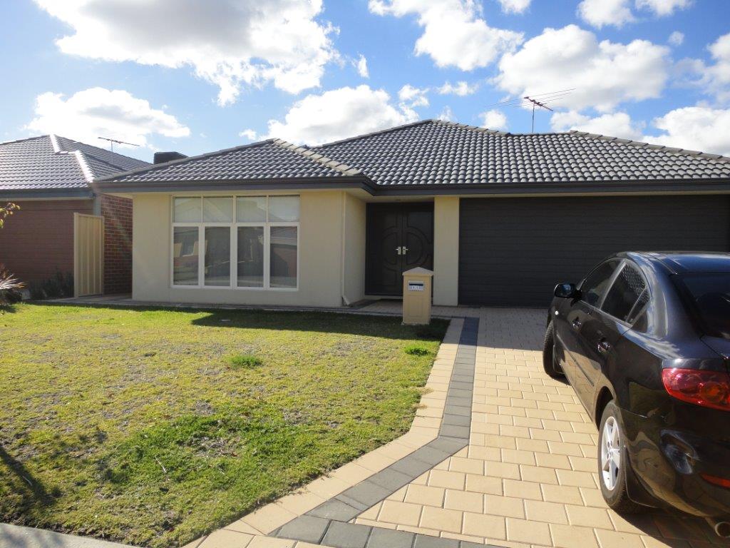 11 Nankeen Elb, Beeliar, WA 6164