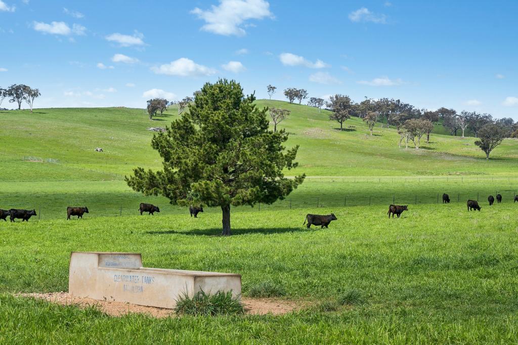 593 Belgravia Rd, Belgravia, NSW 2800
