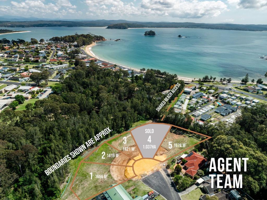 17 Lisa Pl, Sunshine Bay, NSW 2536