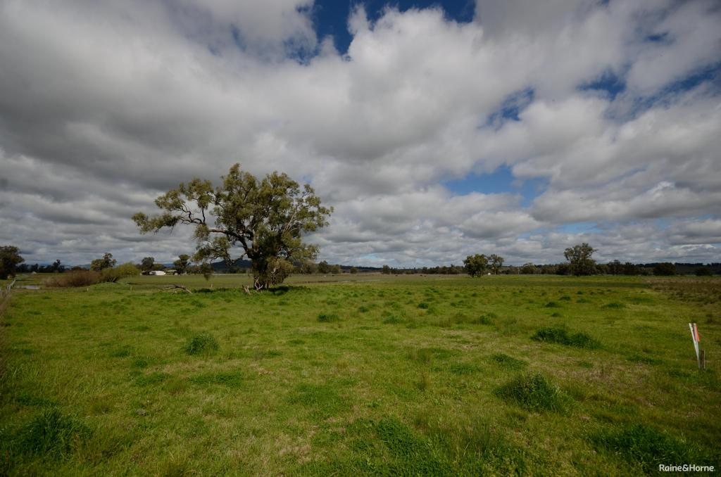 453 Spains Lane, Quirindi, NSW 2343