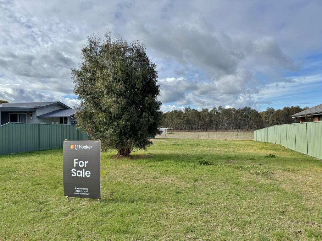 12 Pinkstone Ave, Cootamundra, NSW 2590
