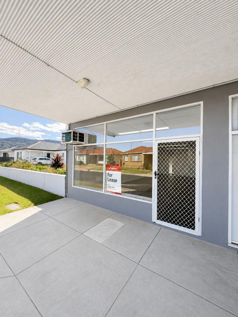 1/2 Balfour St, Fairy Meadow, NSW 2519