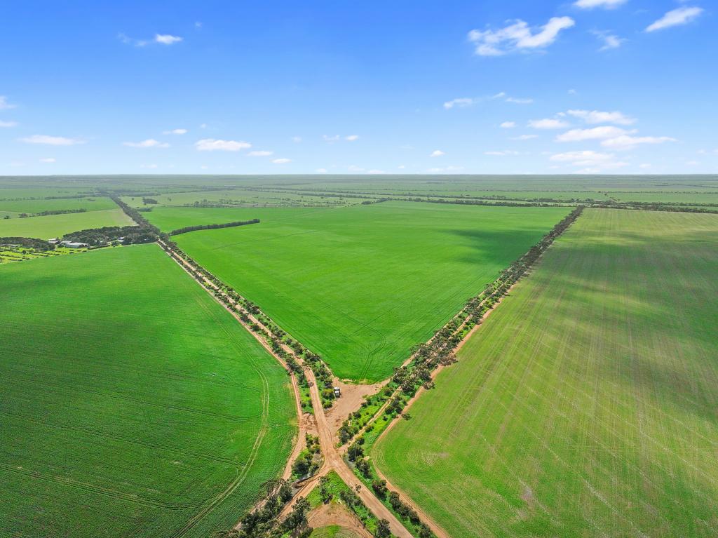 181,182,183 & 235 Rodda Rd, Boors Plain, SA 5554
