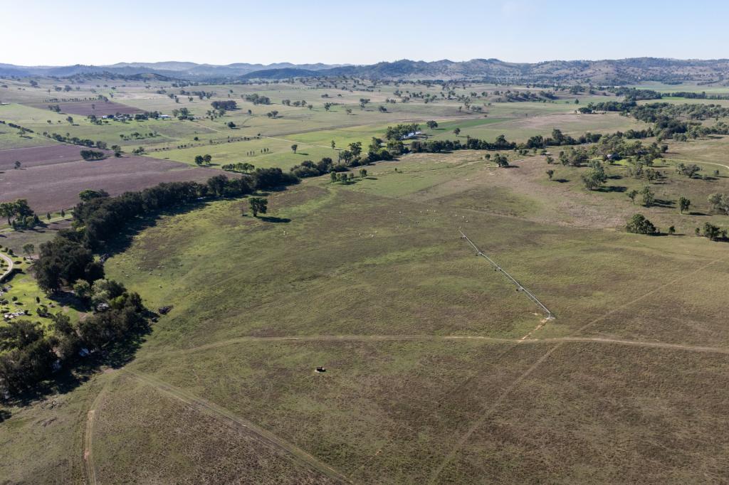 323 Tinja Lane, Putta Bucca, NSW 2850