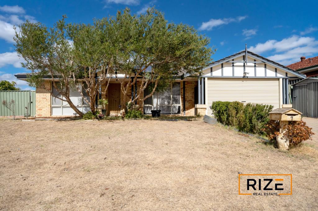 7 Celadon Loop, Banksia Grove, WA 6031
