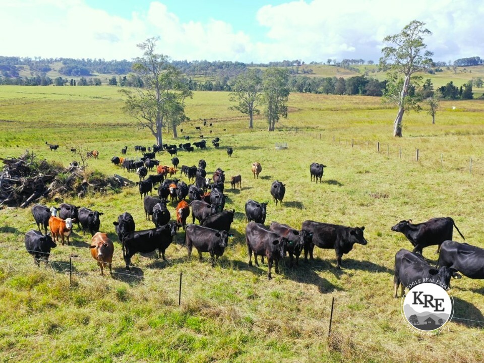 603 KNIGHTS RD, ETTRICK, NSW 2474